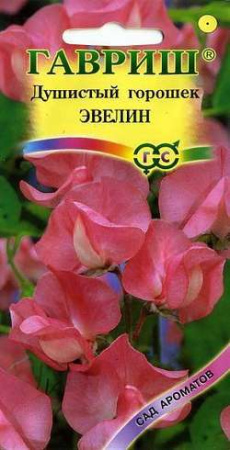 Душистый горошек Эвелин 1,0 г серия Сад ароматов фото в интернет-магазине "Сортовые семена"