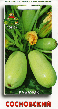 Кабачок Сосновский фото в интернет-магазине "Сортовые семена"