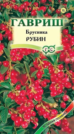 Брусника Рубин 20 шт. фото в интернет-магазине "Сортовые семена"
