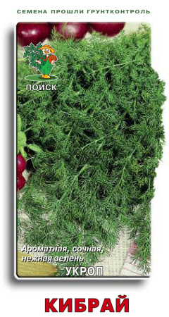 Укроп Кибрай (ЦВ) 3гр. фото в интернет-магазине "Сортовые семена"
