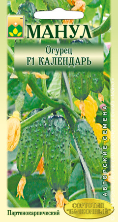 Огурец Календарь F1 фото в интернет-магазине "Сортовые семена"