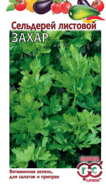 Сельдерей Захар листовой 0,3 г фото в интернет-магазине "Сортовые семена"
