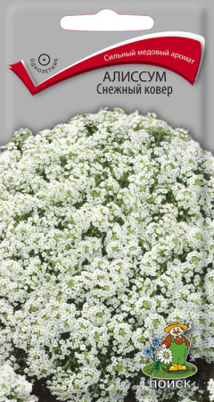 Алиссум Снежный ковер (ЦП) 0,3 фото в интернет-магазине "Сортовые семена"