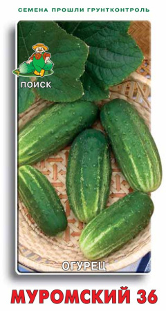 Огурец Муромский 36 (ЦВ) 15шт фото в интернет-магазине "Сортовые семена"