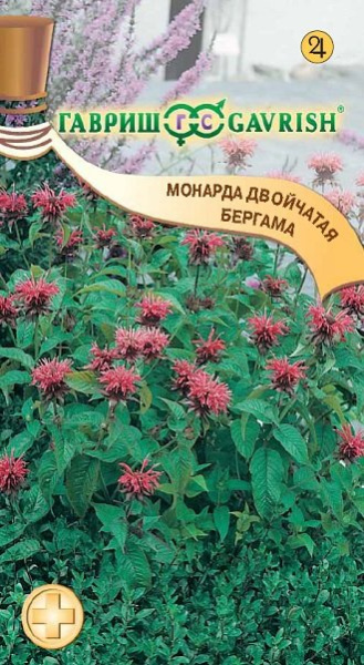 Монарда двойчатая Бергама* 0,05 г фото в интернет-магазине "Сортовые семена"