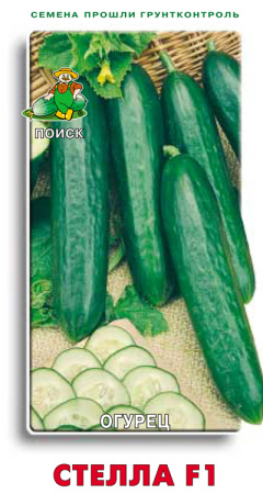 Огурец Стелла F1 фото в интернет-магазине "Сортовые семена" Огурец Стелла F1 фото в интернет-магазине "Сортовые семена"
