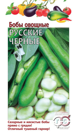 Бобы Русские черные 10 шт. фото в интернет-магазине "Сортовые семена"