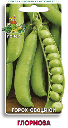 Горох овощной Глориоза фото в интернет-магазине "Сортовые семена"
