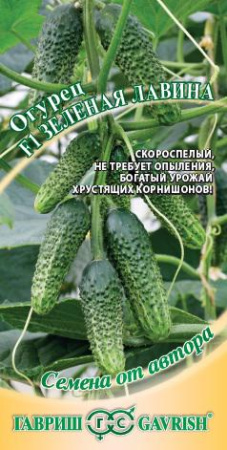 Огурец Зеленая лавина F1 10 шт. автор. Н18 фото в интернет-магазине "Сортовые семена"