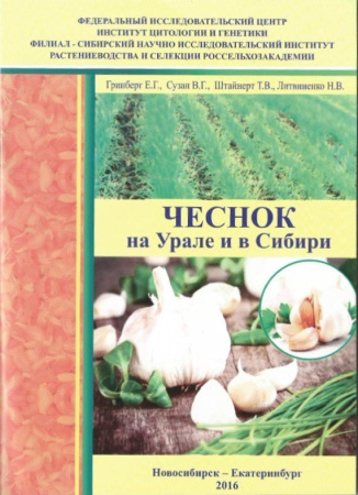Чеснок на Урале и в Сибири фото в интернет-магазине "Сортовые семена"