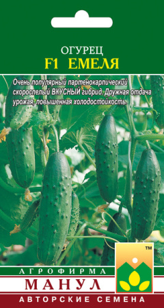Огурец Емеля Манул Ц фото в интернет-магазине "Сортовые семена"