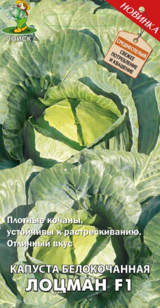 Капуста белокочанная Лоцман F1(А) (ЦВ) 0,2гр. фото в интернет-магазине "Сортовые семена"