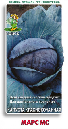 Капуста краснокочанная Марс МС (ЦВ) 0,5гр. фото в интернет-магазине "Сортовые семена"