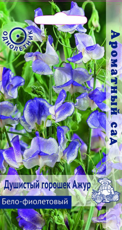 Душистый горошек Ажур Бело-фиолетовый (ЦВ) (Ароматный сад"1) 1гр фото в интернет-магазине "Сортовые семена"