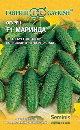 Огурец Маринда F1 10 шт. корнишон фото в интернет-магазине "Сортовые семена"